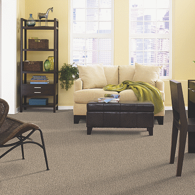 Luxurious Smartstrand Carpet